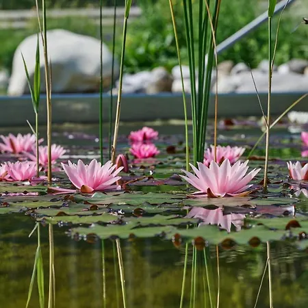 Landhaus Huber Гостевой дом 3*